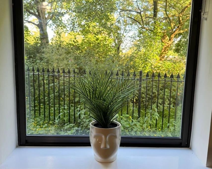 Polly'S Place Apartment Taunton & Free Off Road Parking & Wifi Dış mekan fotoğraf